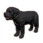 Druadach Mountain Dog icon