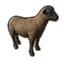 Ascadian Umber Sheep icon