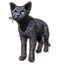 Silver-Gray Mouser Cat icon