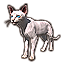Lince esfinge Icon