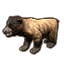 Sunback Bear Cub icon