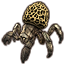 Peninsula Hermit Crab Icon icon
