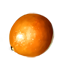 Cyrodiil Citrus Icon icon