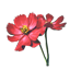 Lotus Icon icon