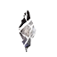 Fragment der Asche icon