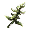 Marsh Nettle Sprig Icon icon