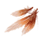 Tide-Born Feathers Icon icon