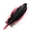 Smoke-Wreathed Gryphon Feather icon