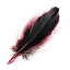 Pluma de grifo envuelta en humo icon