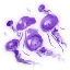School of fish Blue icon