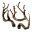 Astas marchitas icon