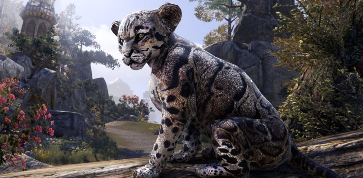 Get a free pet (Clouded Senche-Leopard Cub) during the ESO Live stream on September 29.