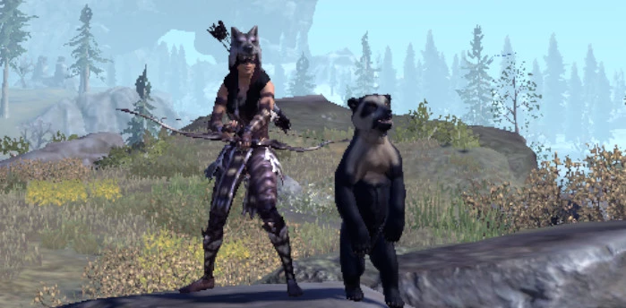 Bow/Bow Warden