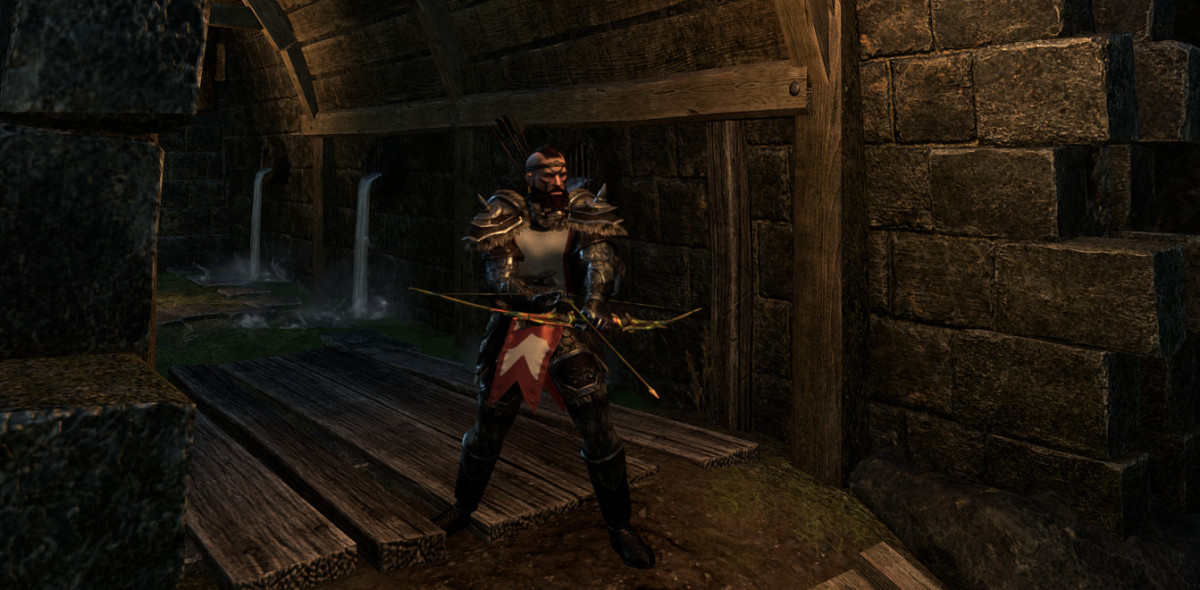 Bow, Tank, Thief
