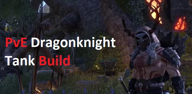 PvE Dragonknight Tank Build