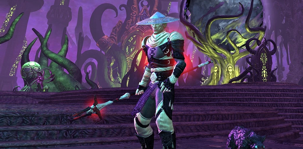 Endless Archive Nightblade Build in ESO