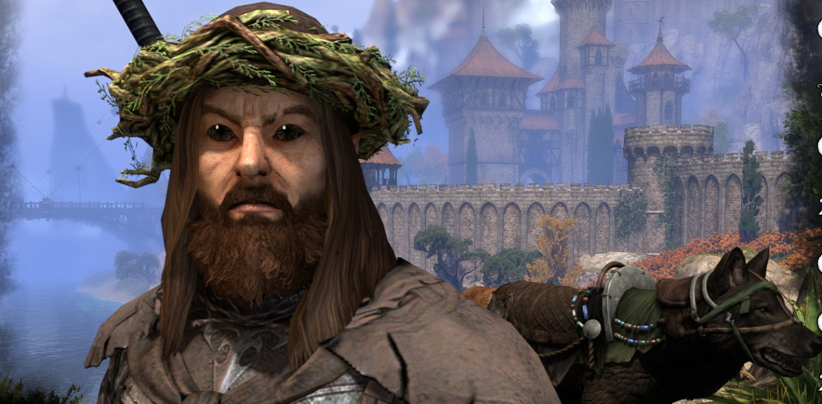 "The Companion Builder" - Papaw's Solo Stamina Warden