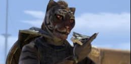 Dragon knight Tank with khajit