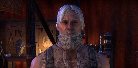 One Bar Master Crafter Build