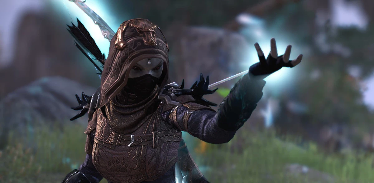 Arcane Archer - Warden