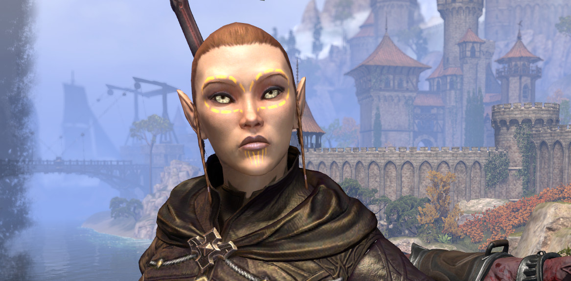 Sorcier DPS