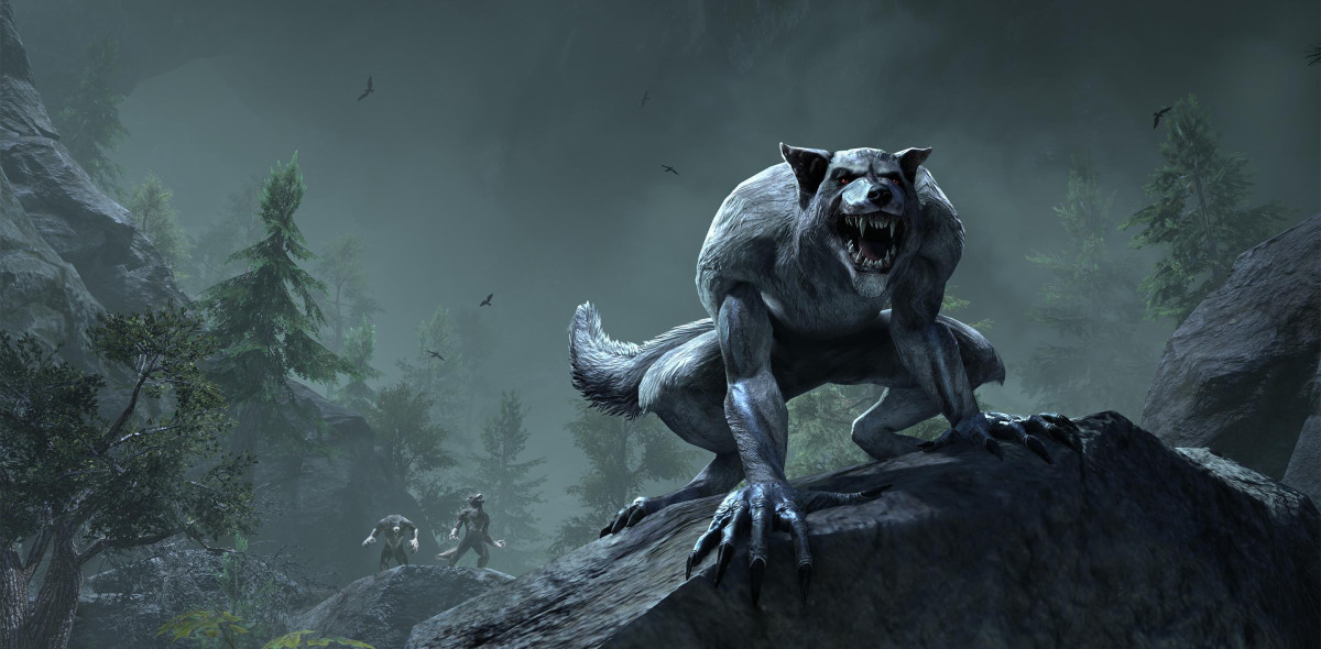 Templar Tank Wolf Pvp