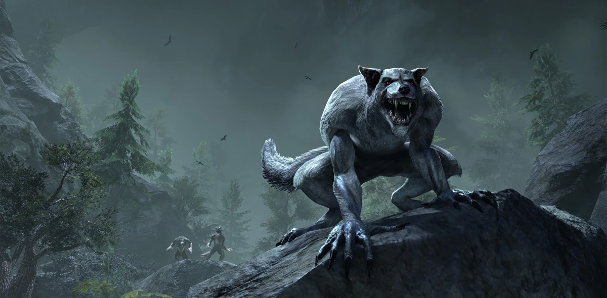 Templar Tank Wolf Pvp