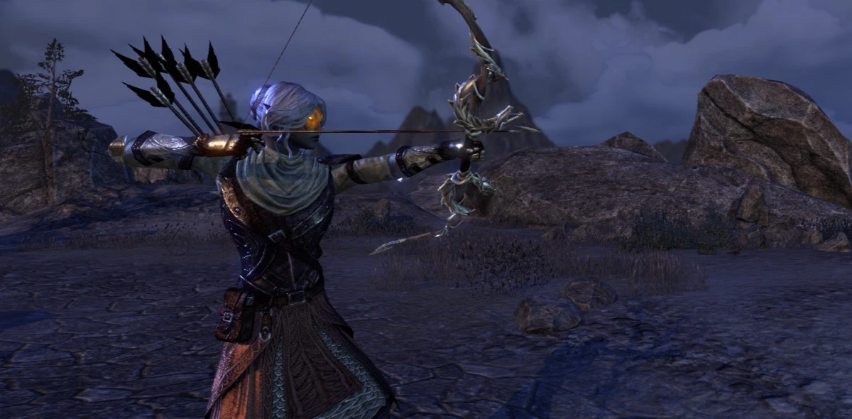Classless - Stamina DPS Build for PvE
