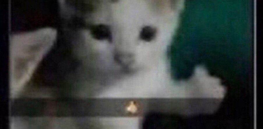 normal onebar templar