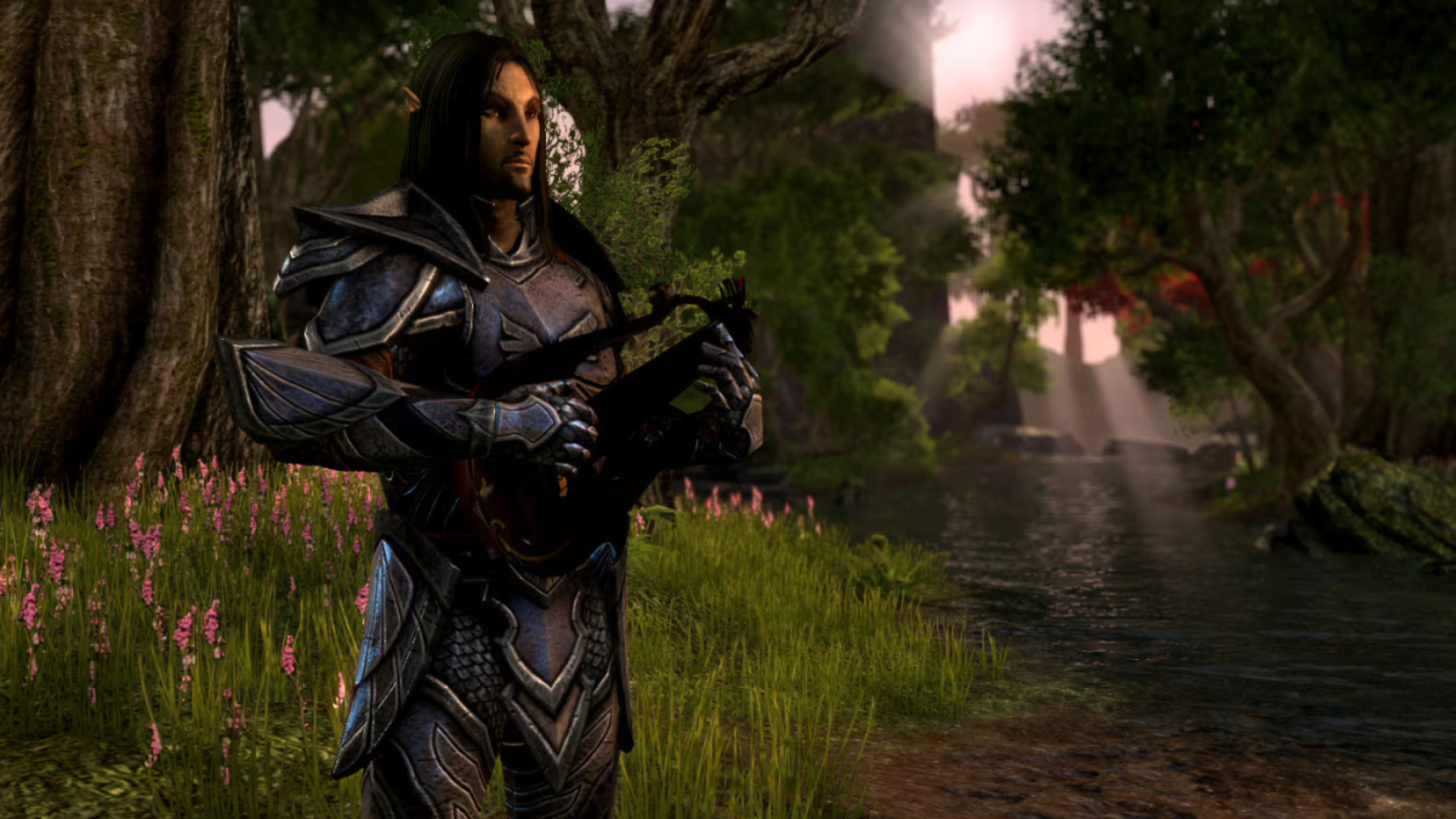 Altmer Playing a Lute