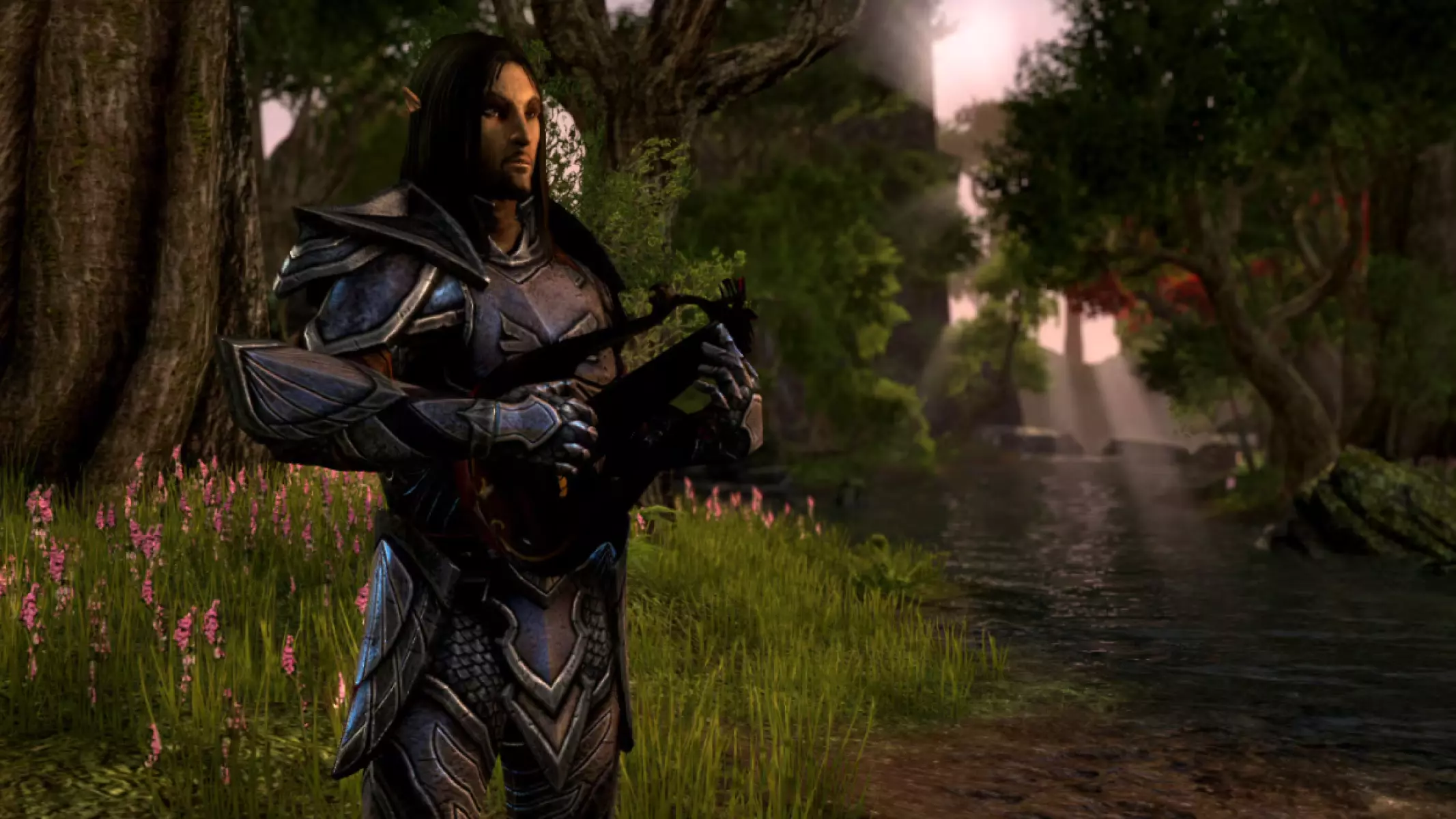 Altmer Playing a Lute