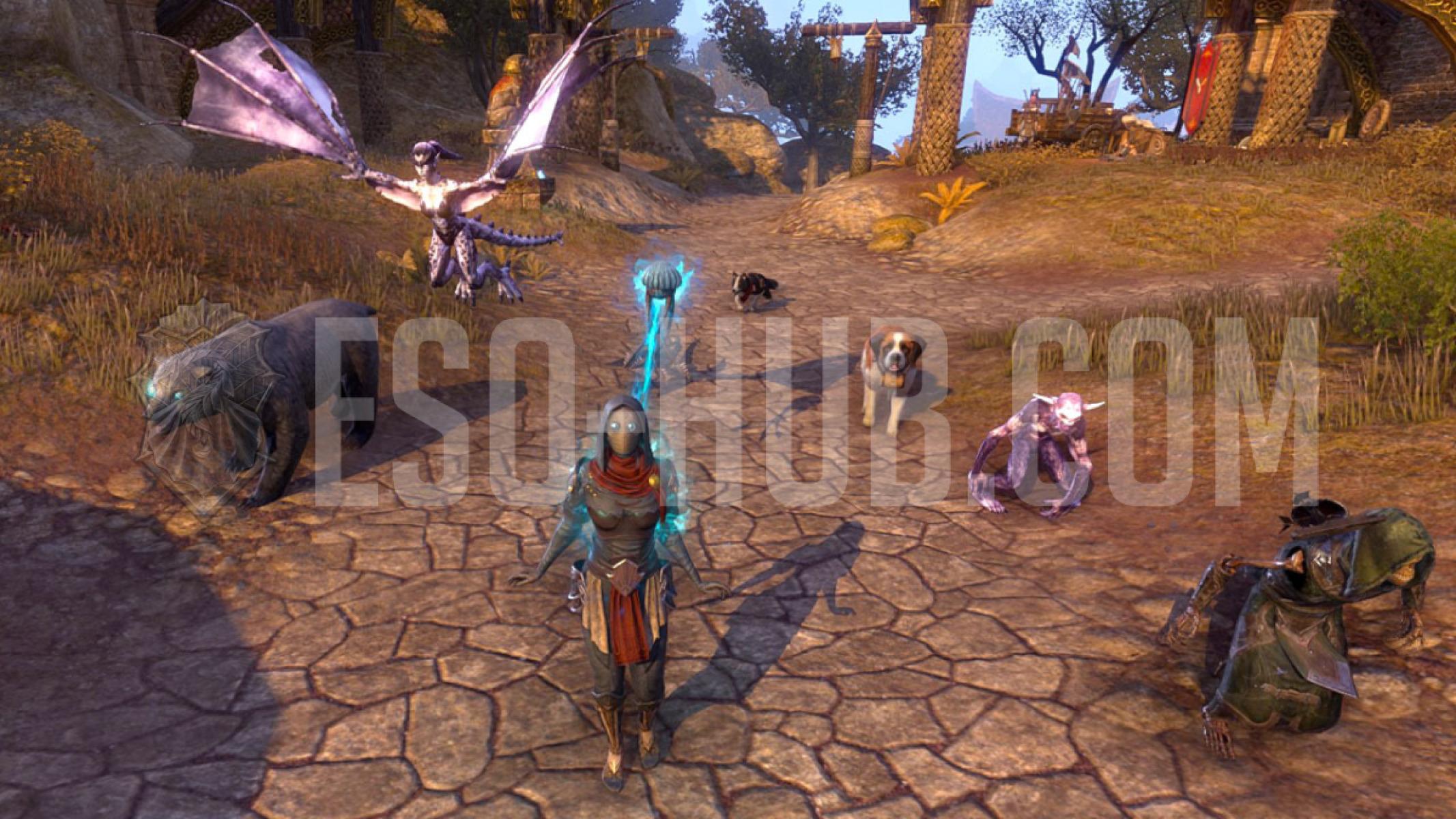 Warden subclassing Sorcerer and Necromancer for maximum pets. Dogs in this screenshot are not combat pets.
