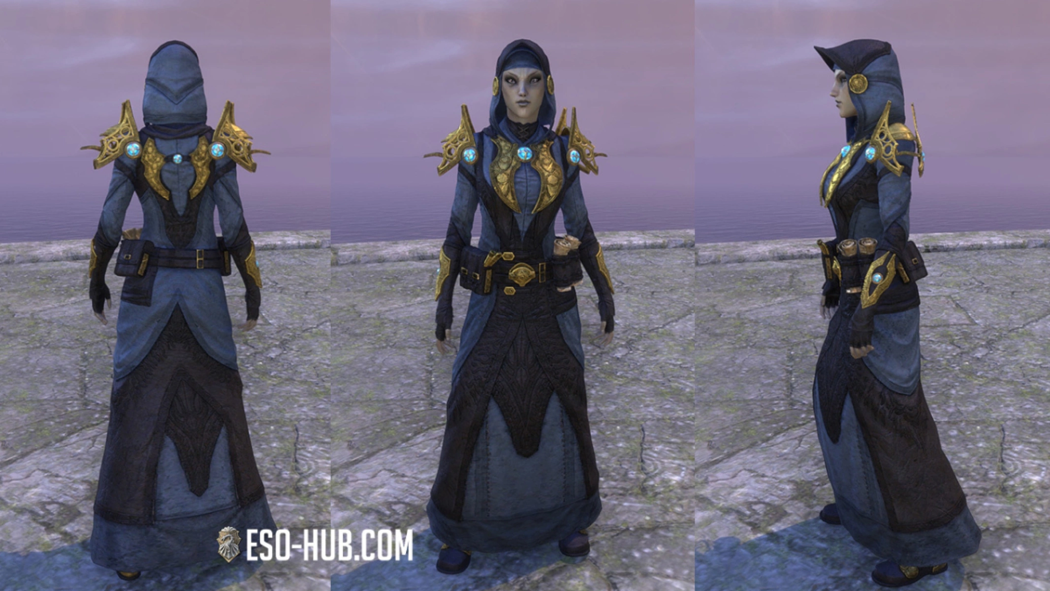 ESO Raynor's Traveling Robes as seen in-game on a female dark elf.
