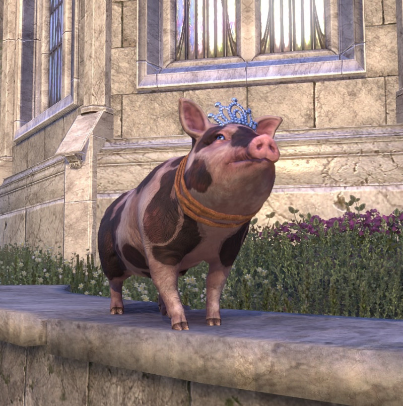 Sovereign Sow Pet