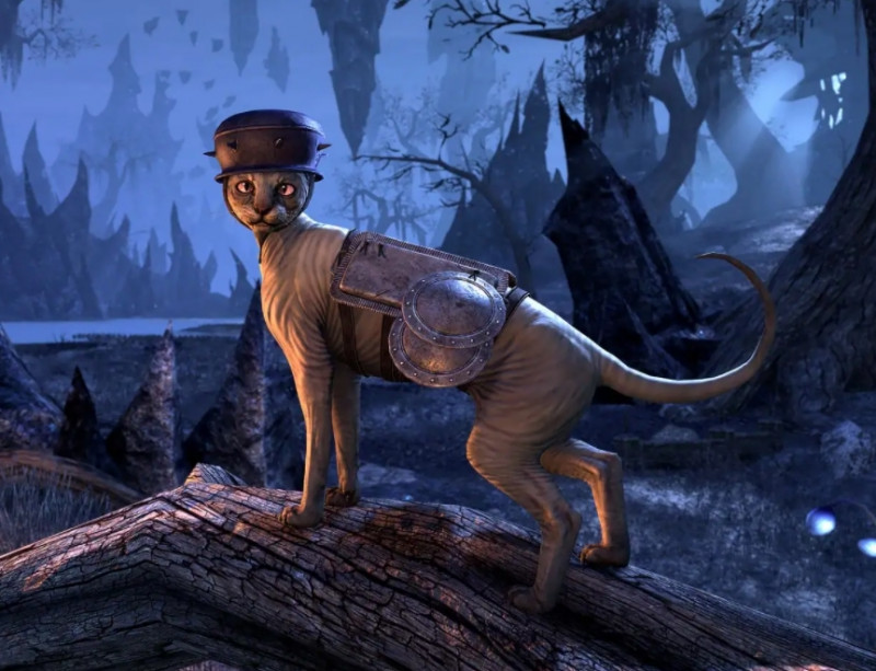 Catwell pet in ESO