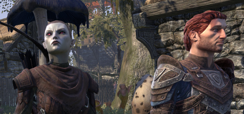 Elder Scrolls Online players are feuding over account-wide achievements