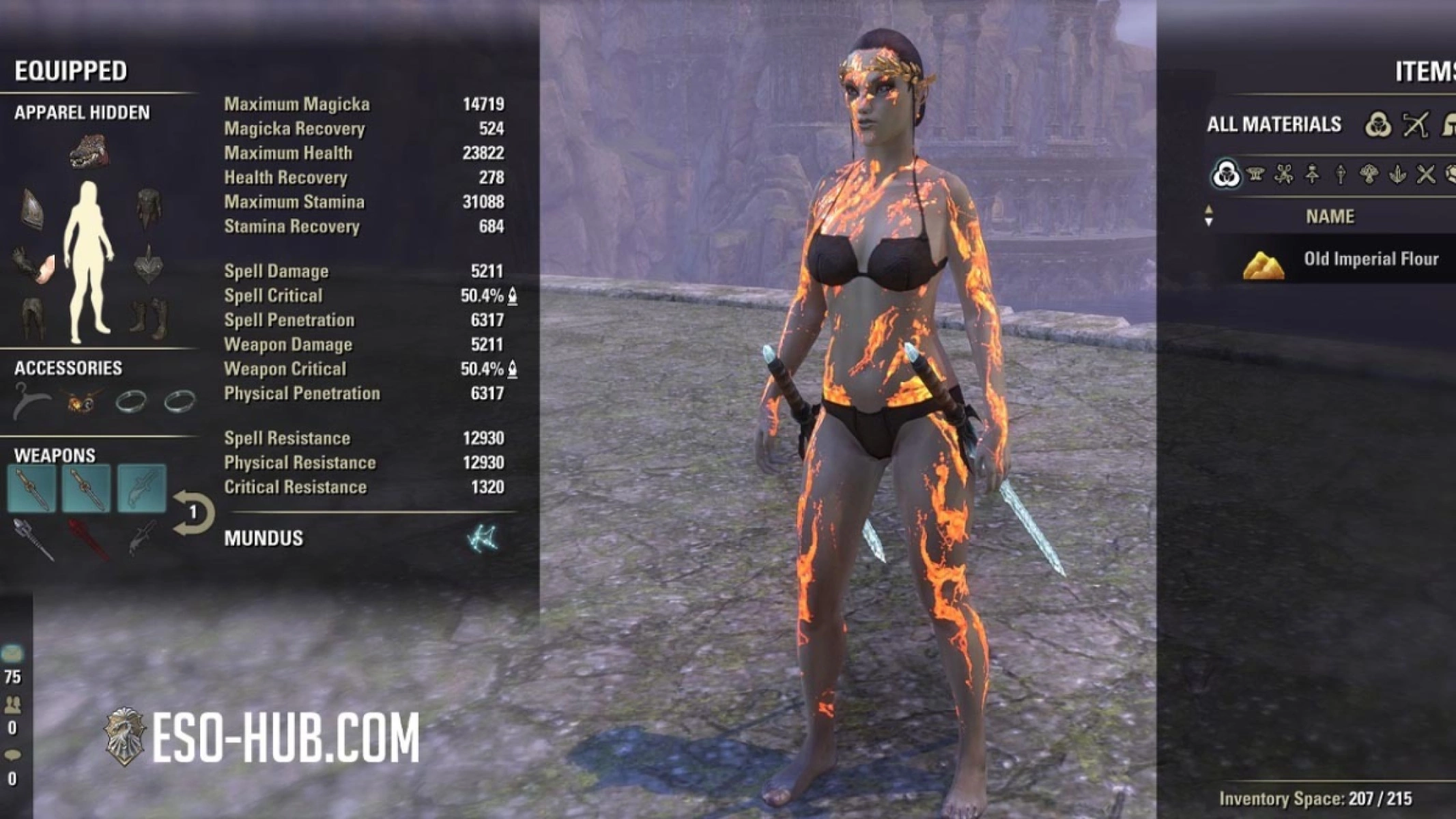 A fully geared character in ESO with "Hide Armor" applied to all slots. You can see the worn gear on the left.