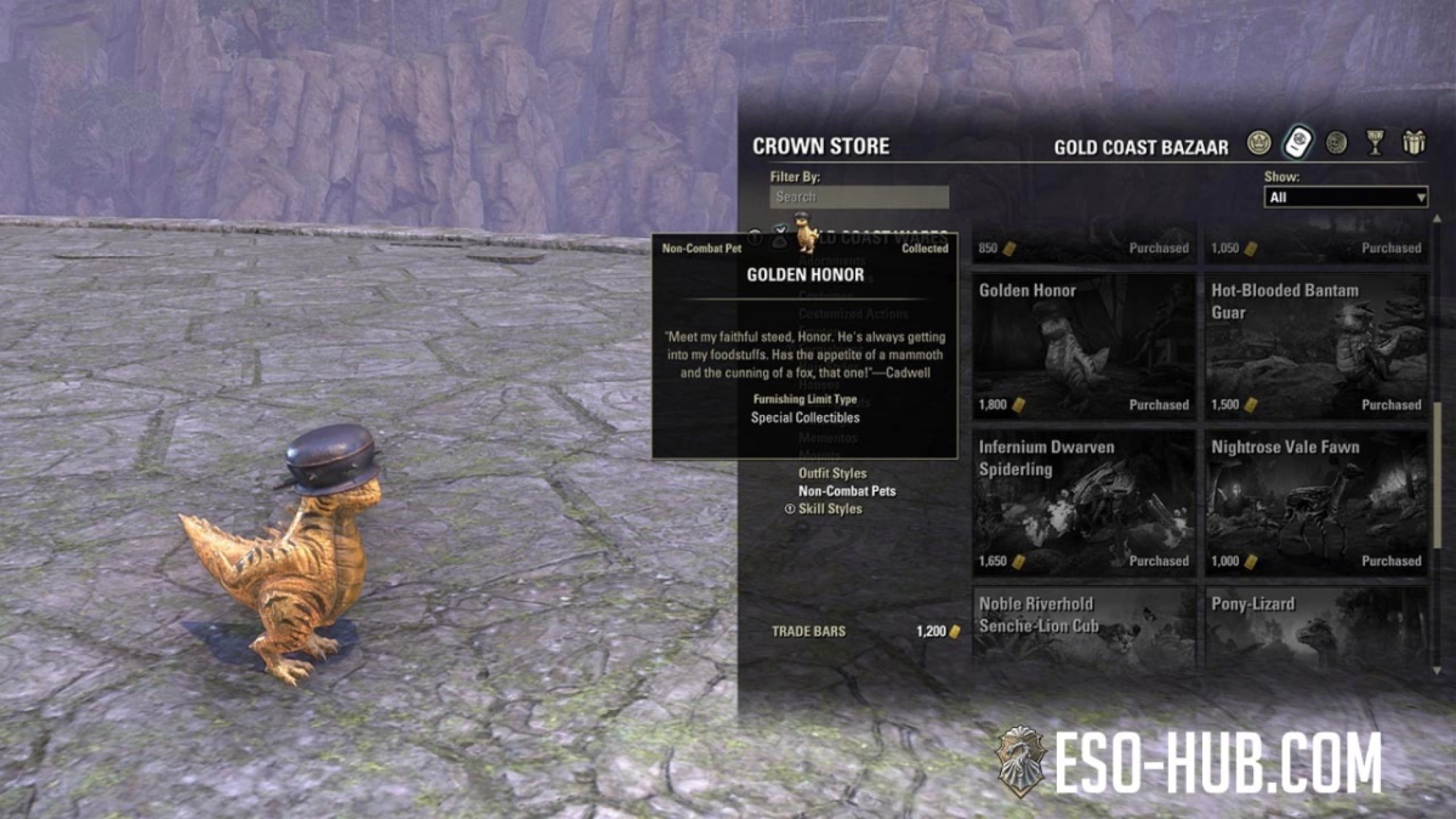 Golden Honor pet is one of the Evergreen Gold Coast Bazaar rewards.