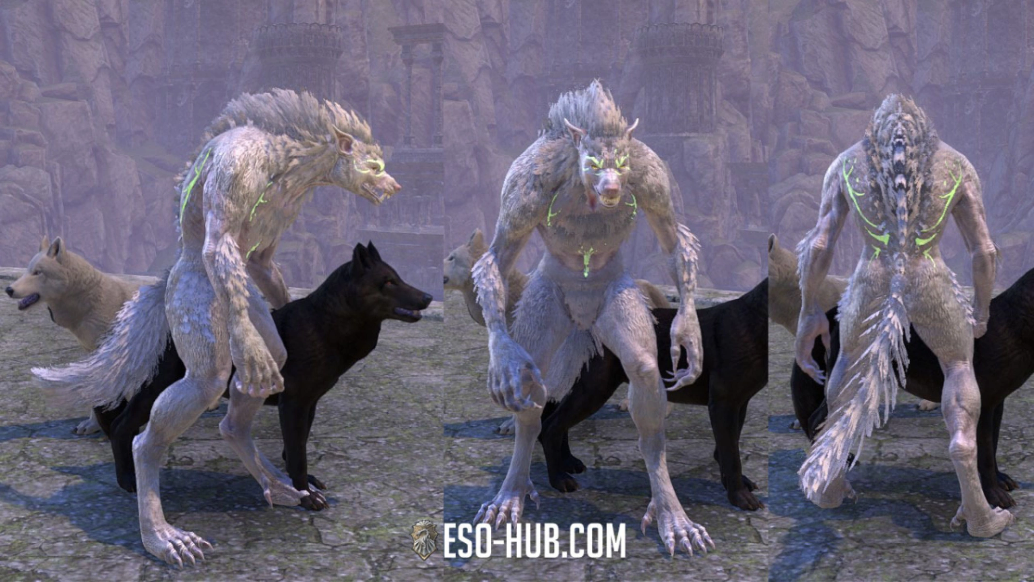 Female Pack Leader Morph