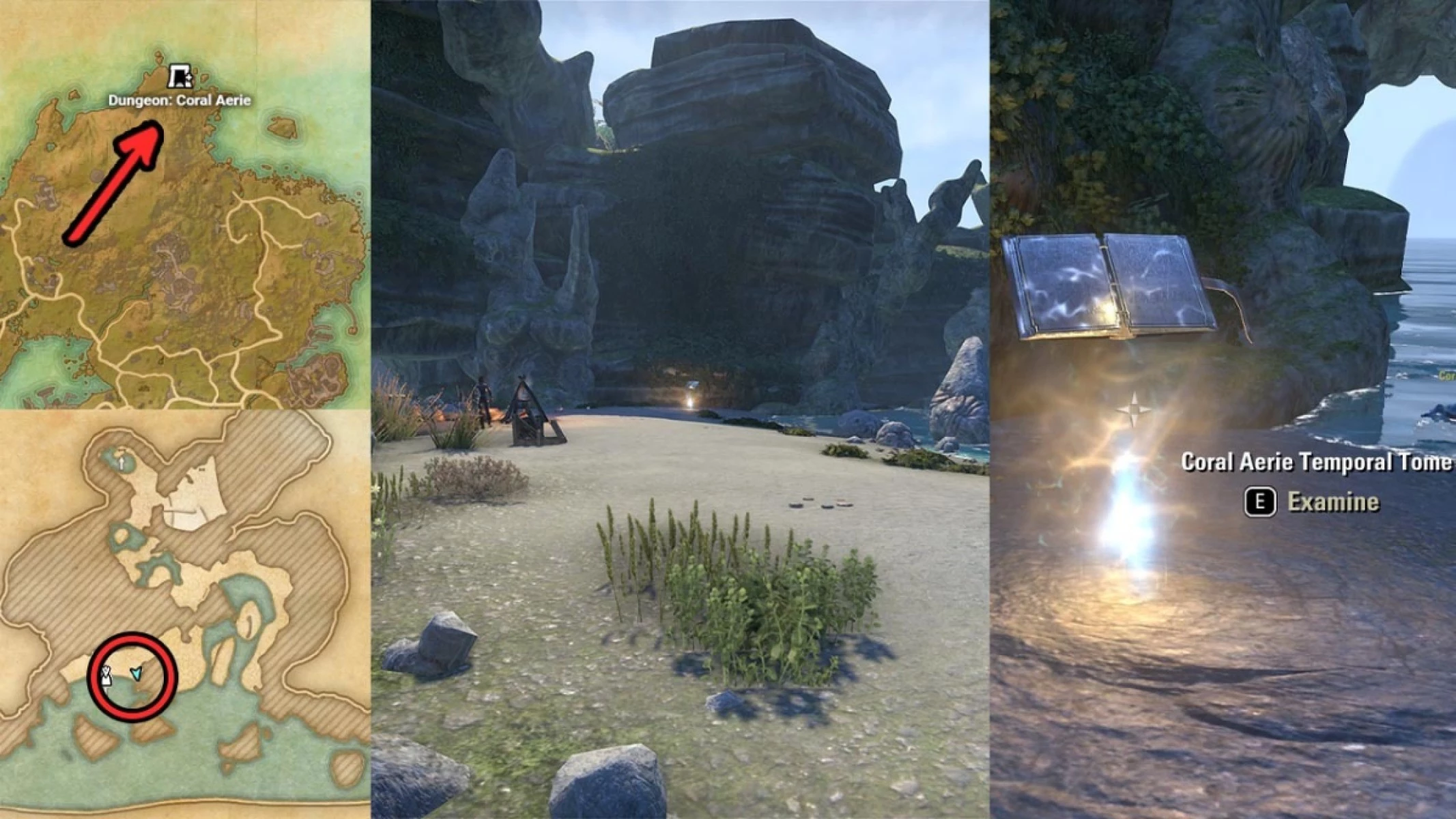 Coral Aerie Temporal Tome