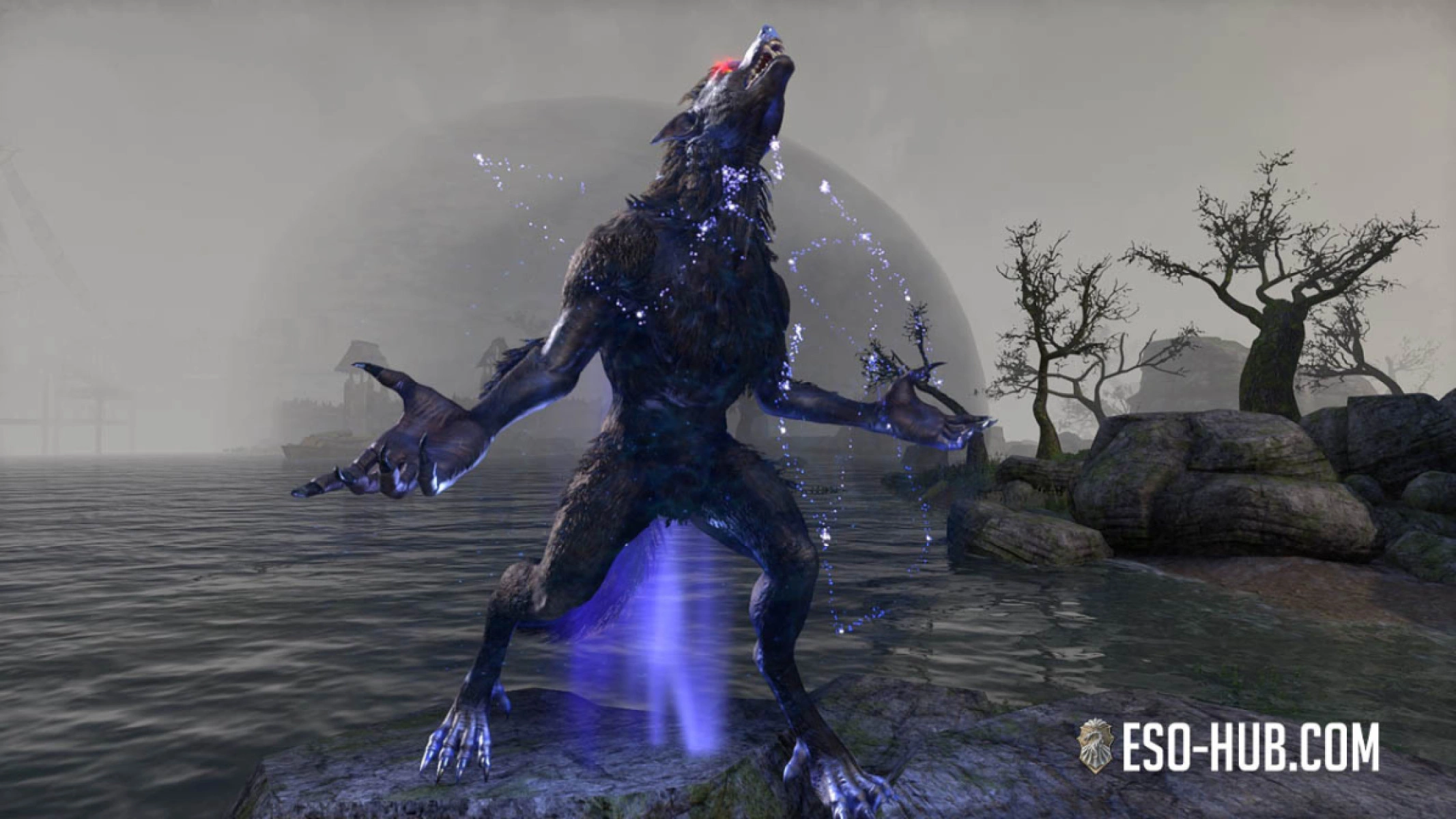 Werewolf recall animation.