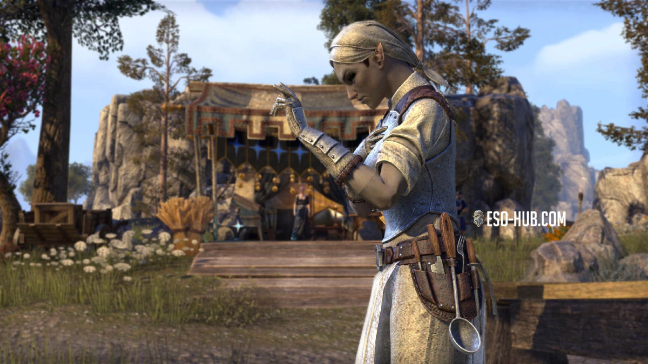 The new Battlefield Provisioner Outfit Style drops from Zenithar Parcels.