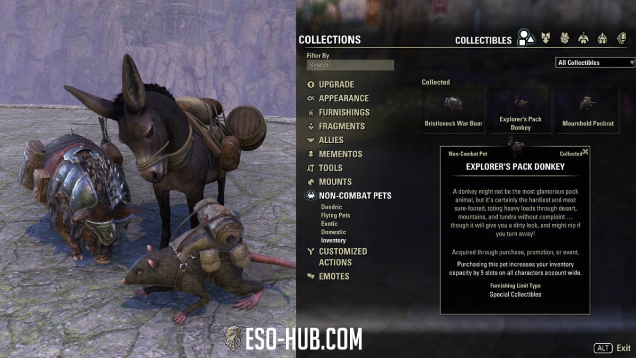 Each ESO Inventory Pet adds permanent bag space