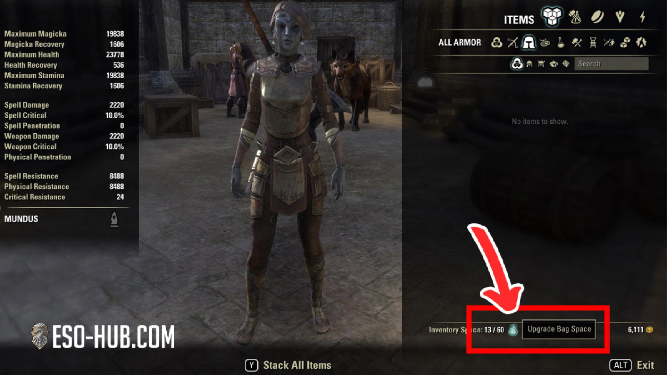 Bag Upgrade Button can be seen in the bottom of the inventory after Update 49