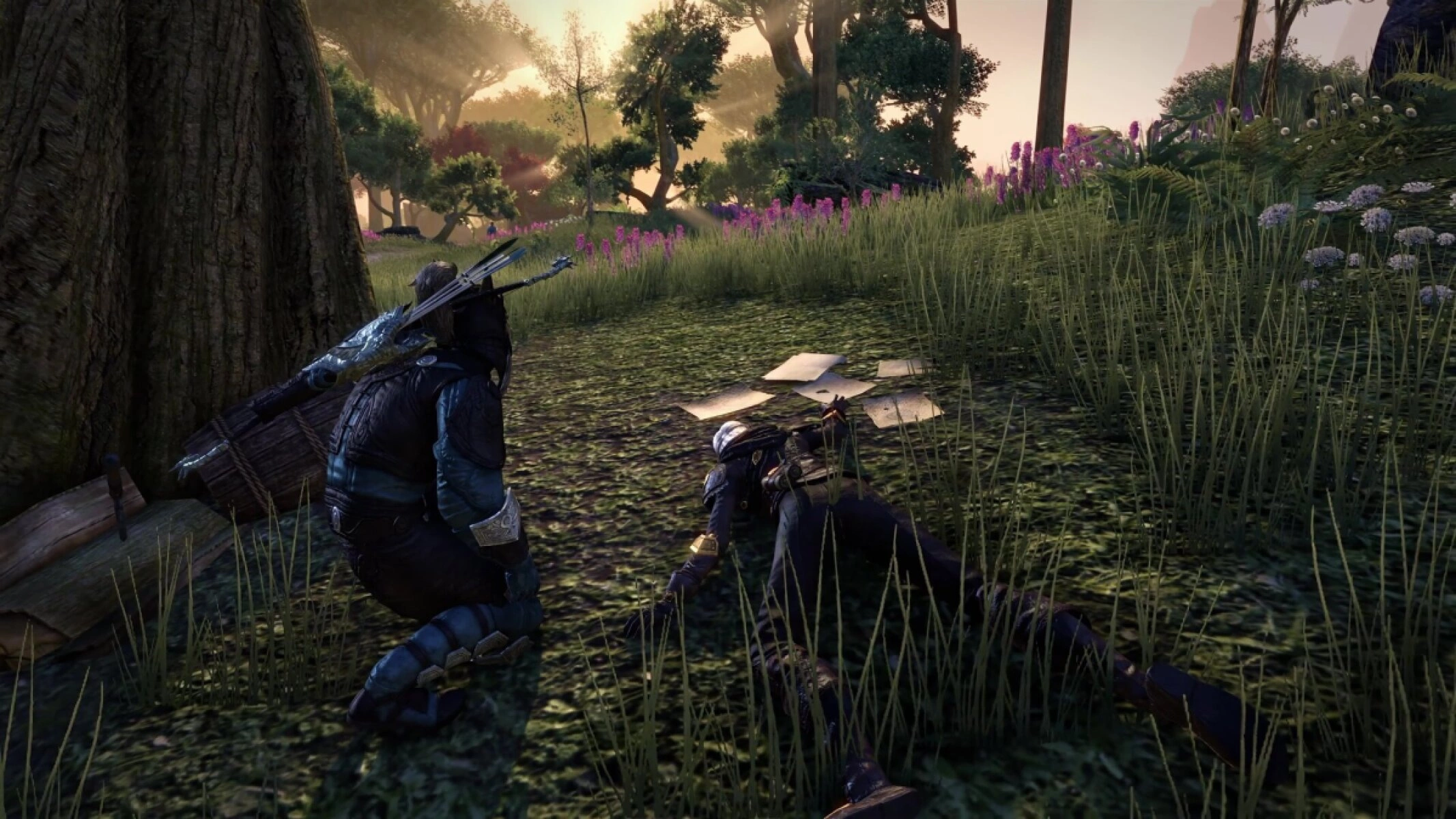 Rumors offer scavenger hunt gameplay with no quest markers in ESO