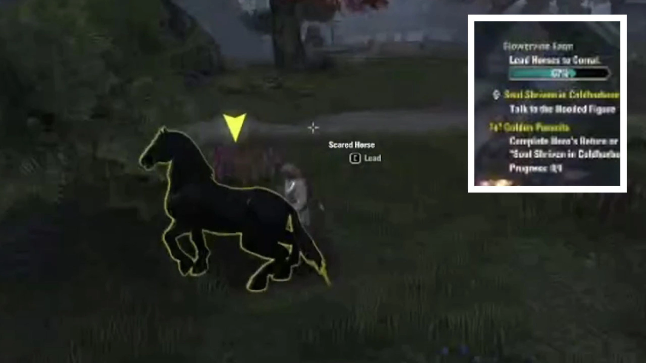 Stage progress bar for an ESO Dynamic Encounter in the top right of the screen