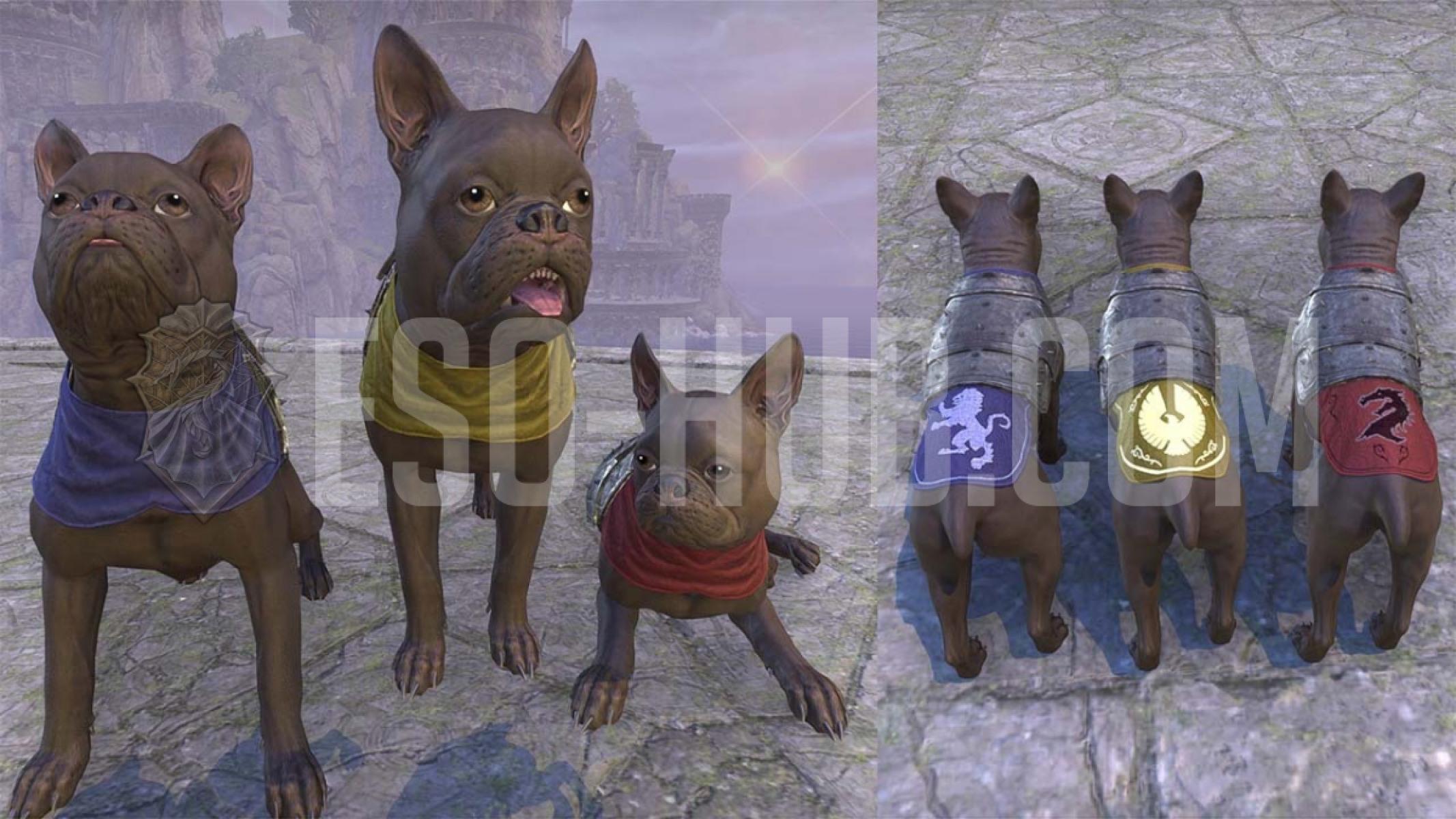 ESO Alliance Breton Terrier pets