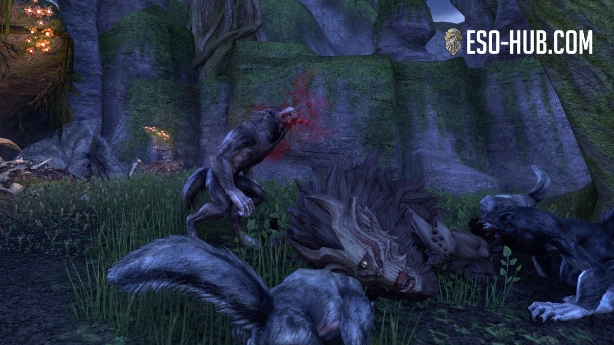 Player feasting on big kill with their pack during the Werewolf quest.