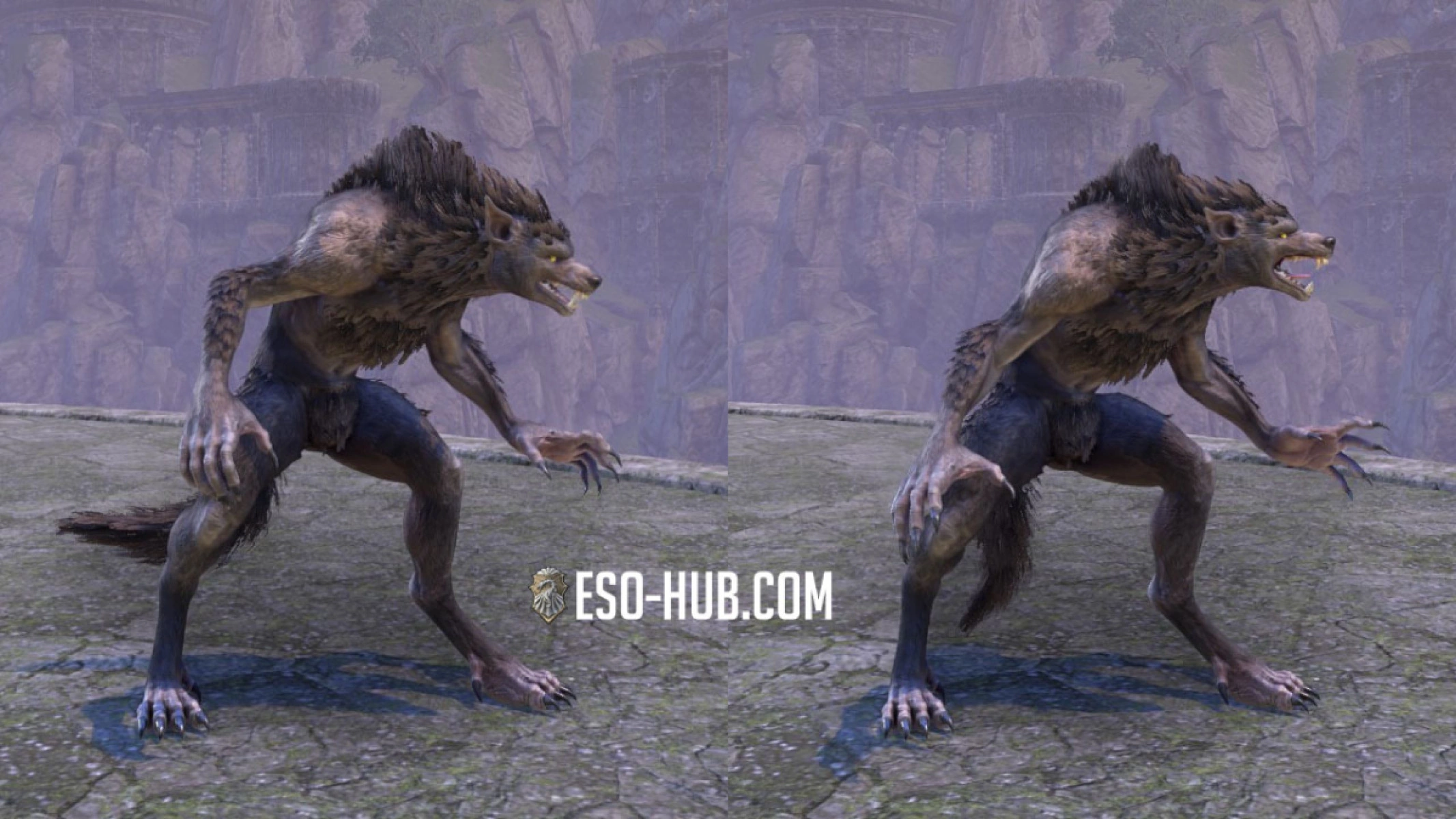 The basic stance is a more hunched over version and still barks around (female model). Sheathing weapons makes the model stand more up right and still than this.