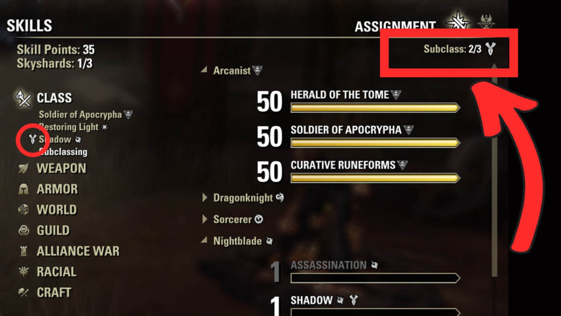 This character is locked into leveling 2 subclass skill lines. A locked skill line is shown with a subclass icon next to its name.